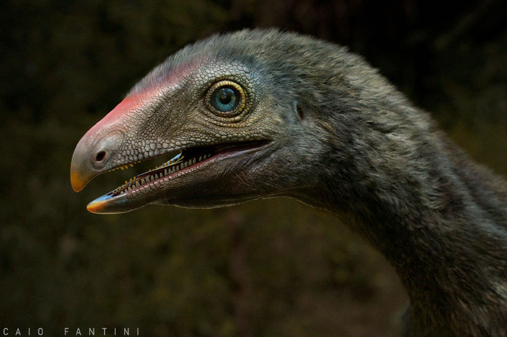 Fóssil de precursor dos pterossauros é encontrado no Rio Grande do Sul