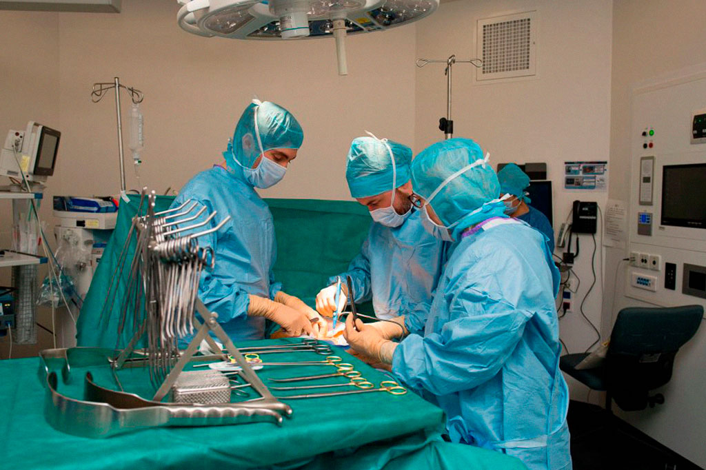 Como funciona o sistema de transplante de órgãos no Brasil?