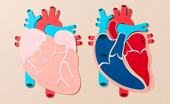 Doe de Coração: Uma corrida pela vida - Doe de Coração