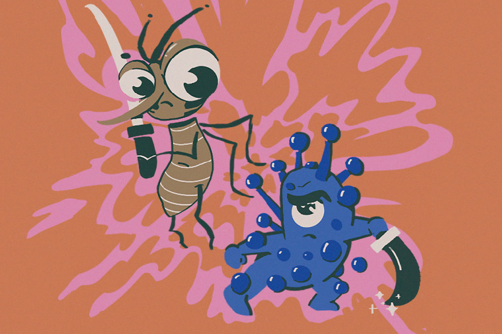 Ilustração de um mosquito e uma bactéria lutando.