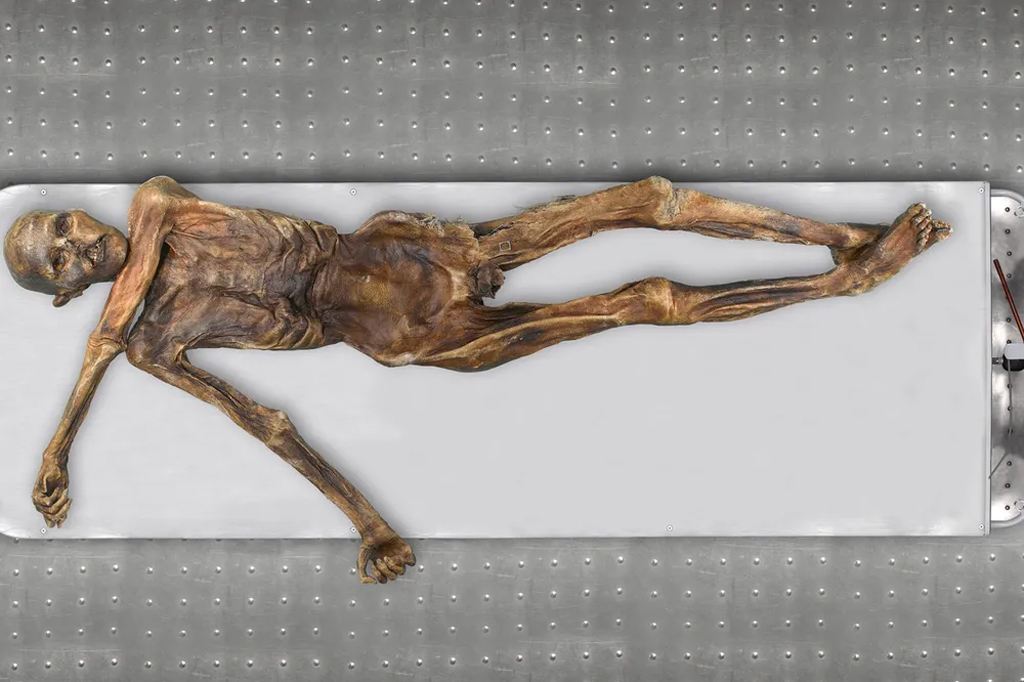 Imagem da múmia reconstruída pelos cientistas.