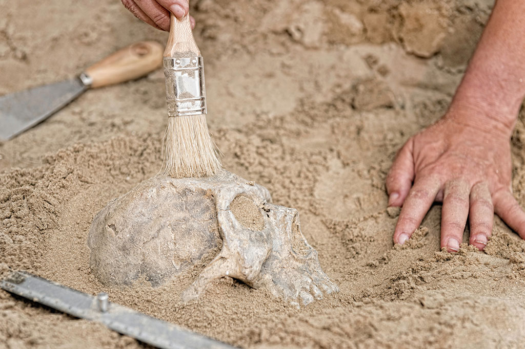 Foto aproximada das mãos de um arqueólogo escavando fóssil de um crânio na areia.