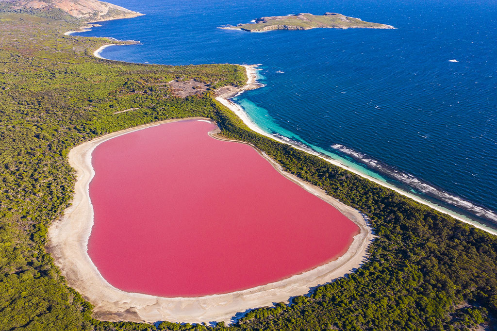 Lago Hillier na Austrália. Um lago cor de rosa.