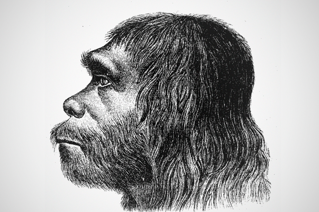 Reconstrução do homem de Neandertal.