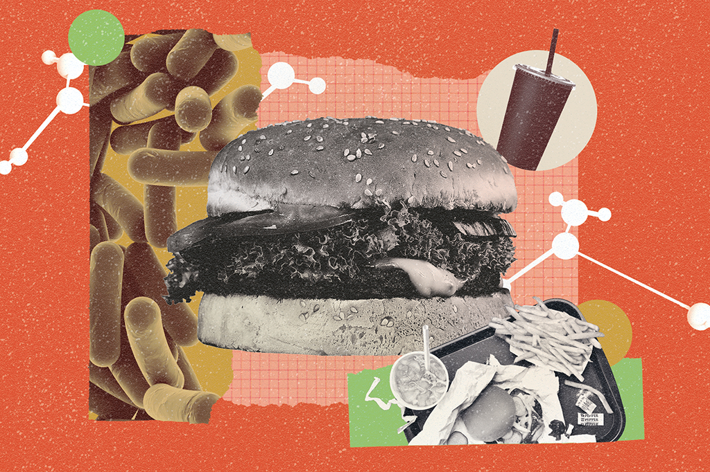 Colagem com hambúrguer, bactérias, refrigerante e uma bandeja com comidas de fast food.
