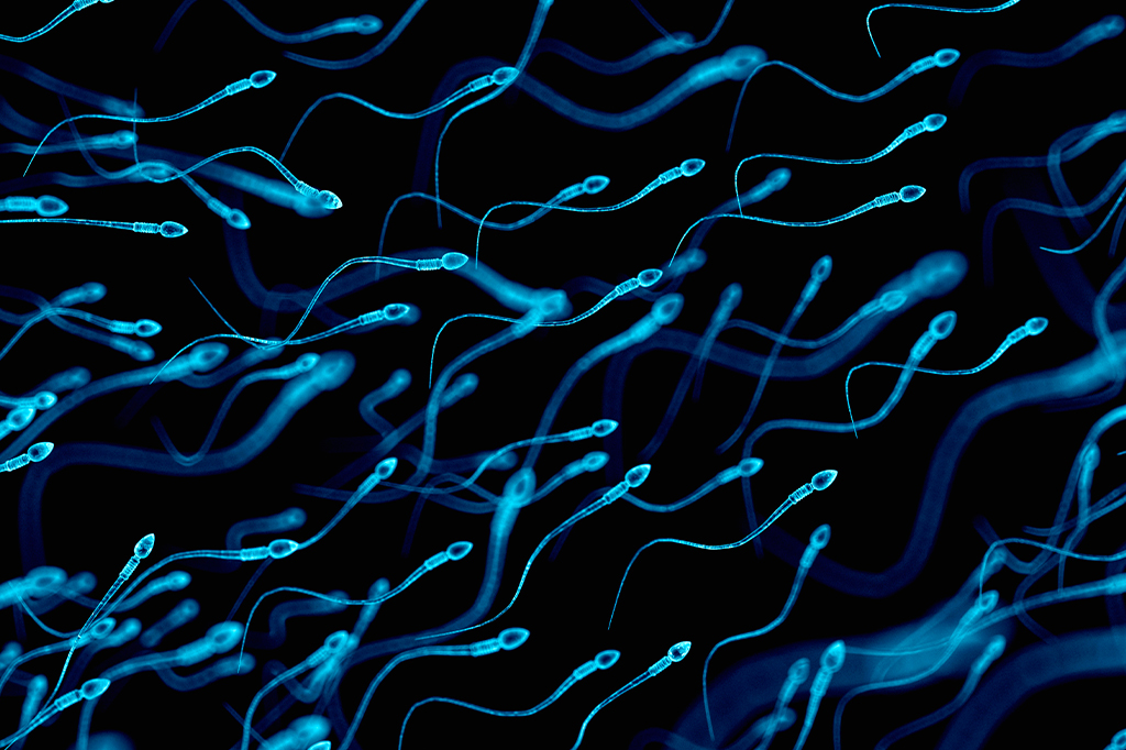 Ilustração 3D de espermatozoides.