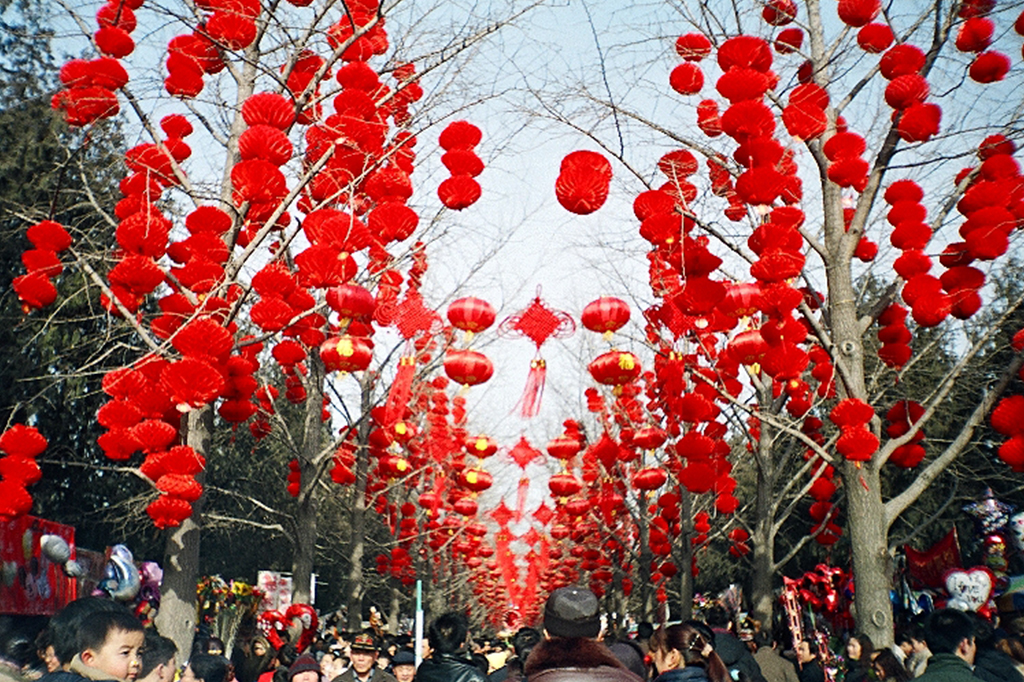 Lanternas vermelhas penduradas nas árvores durante as celebrações do Ano Novo Chinês no Parque Ditan (Templo da Terra), em Pequim.