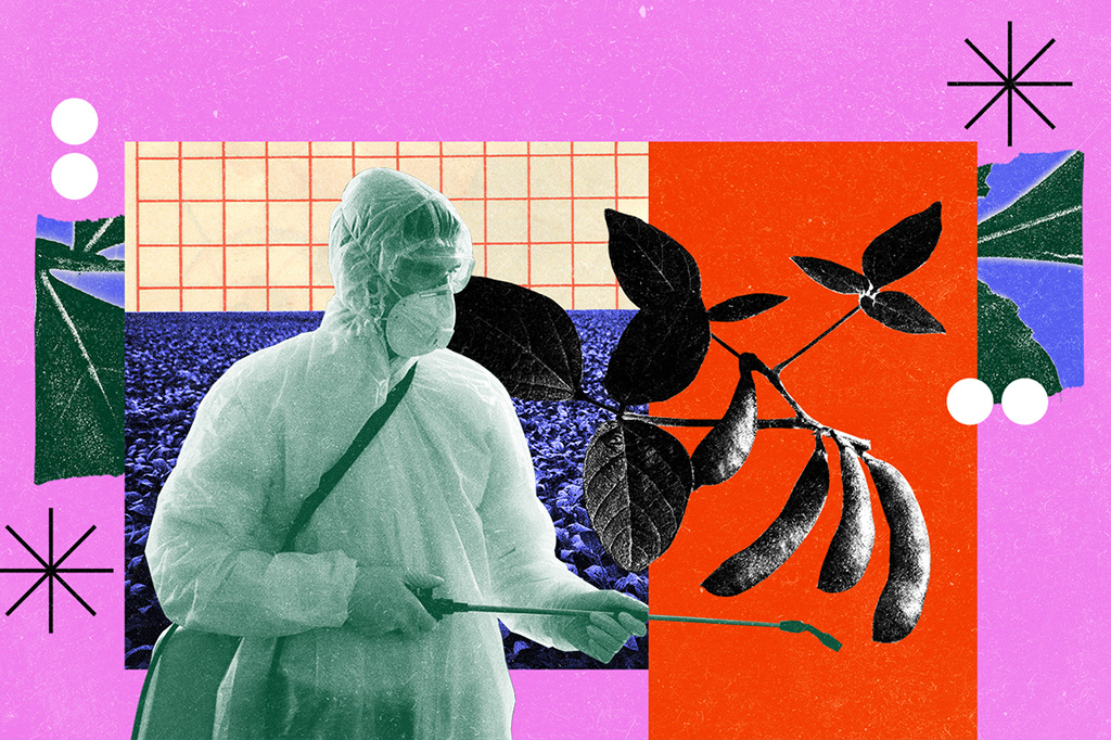 Colagem com uma pessoa pulverizando agrotóxico, soja e plantação de soja.