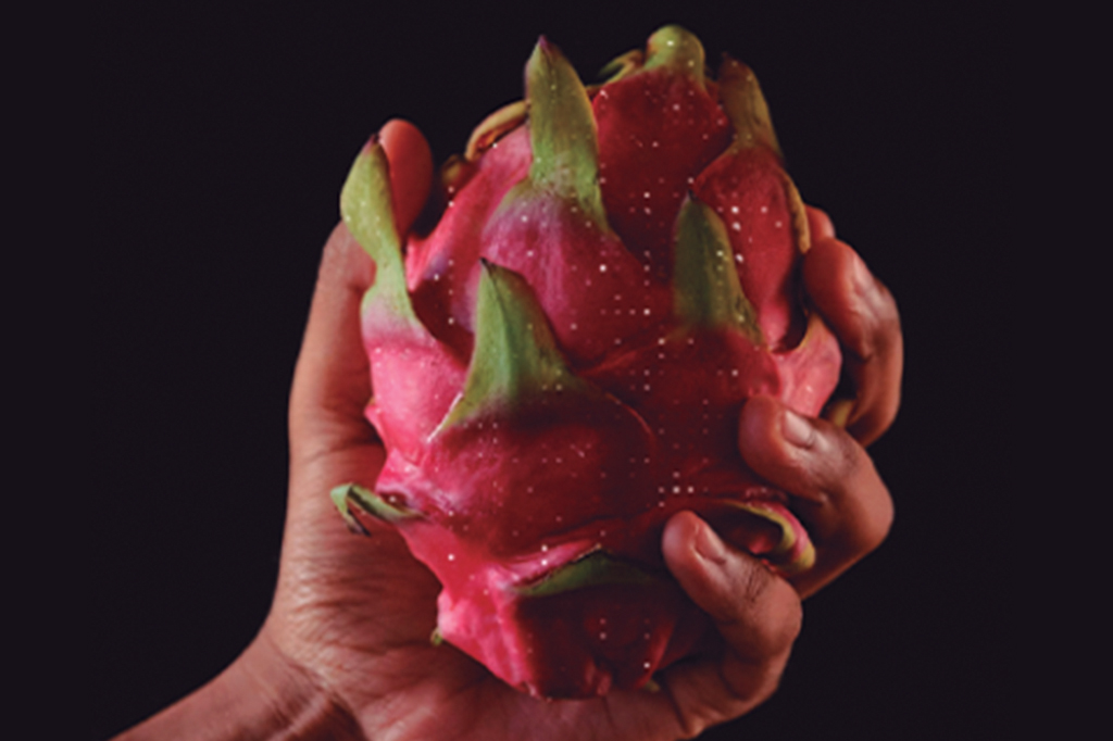 Imagem de uma mão segurando uma pitaya para mostrar a função de scanner alimentar do AI Pin.