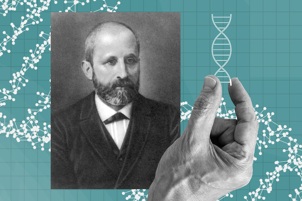 O biólogo esquecido que descobriu o DNA em 1869 (e quase matou a charada da genética)