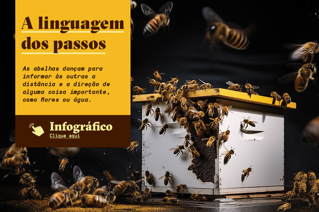 Ilustração realista 3D de diversas abelhas tentando entrar em uma colméia, com um botão de “Infográfico - Clique aqui” que redireciona para o infográfico completo sobre a linguagem dos passos das abelhas.