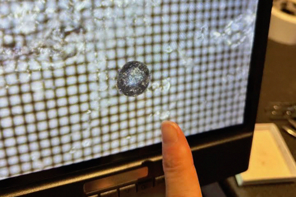 Foto de uma tela de computador com a imagem da esfera encontrada no estudo e um dedo na lateral apontando para ela.