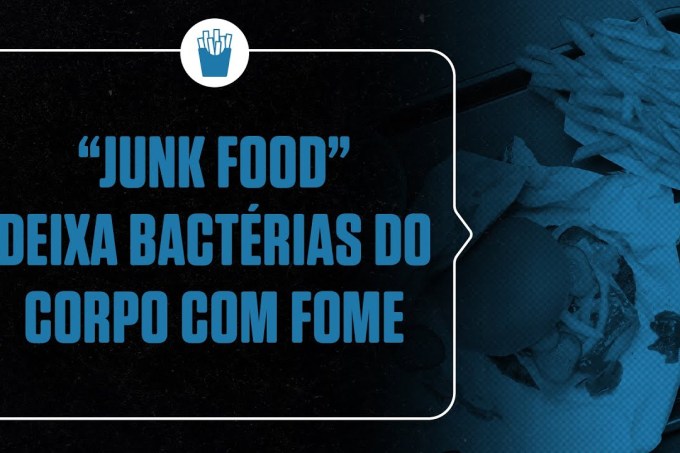 Comer junk food deixa as bactérias do corpo com fome