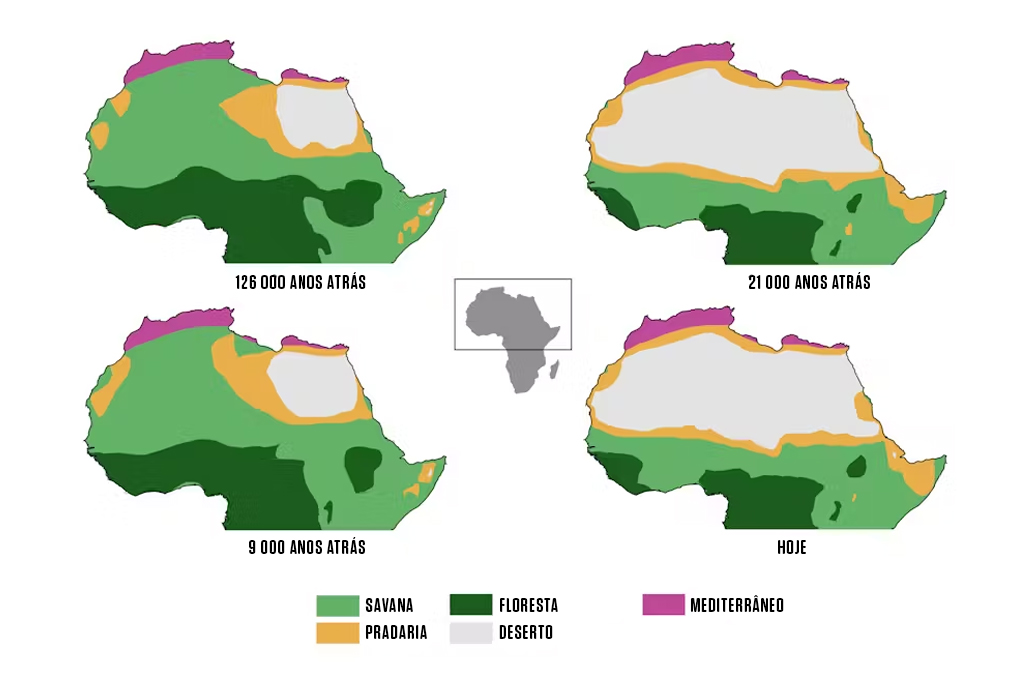 Gráficos de diferentes biomas.