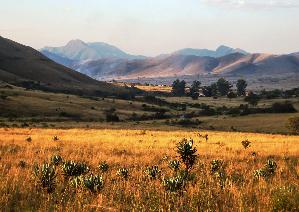 Campo gramado em um vale nas montanhas Baberton-Maknonjwa, na África do Sul.
