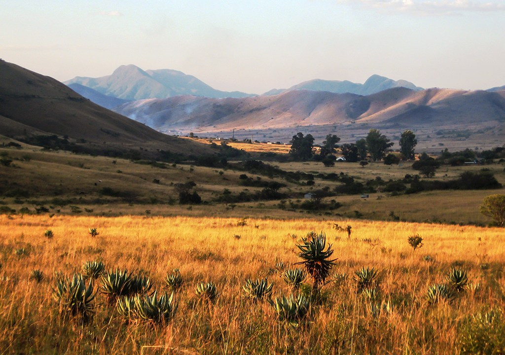 Campo gramado em um vale nas montanhas Baberton-Maknonjwa, na África do Sul.