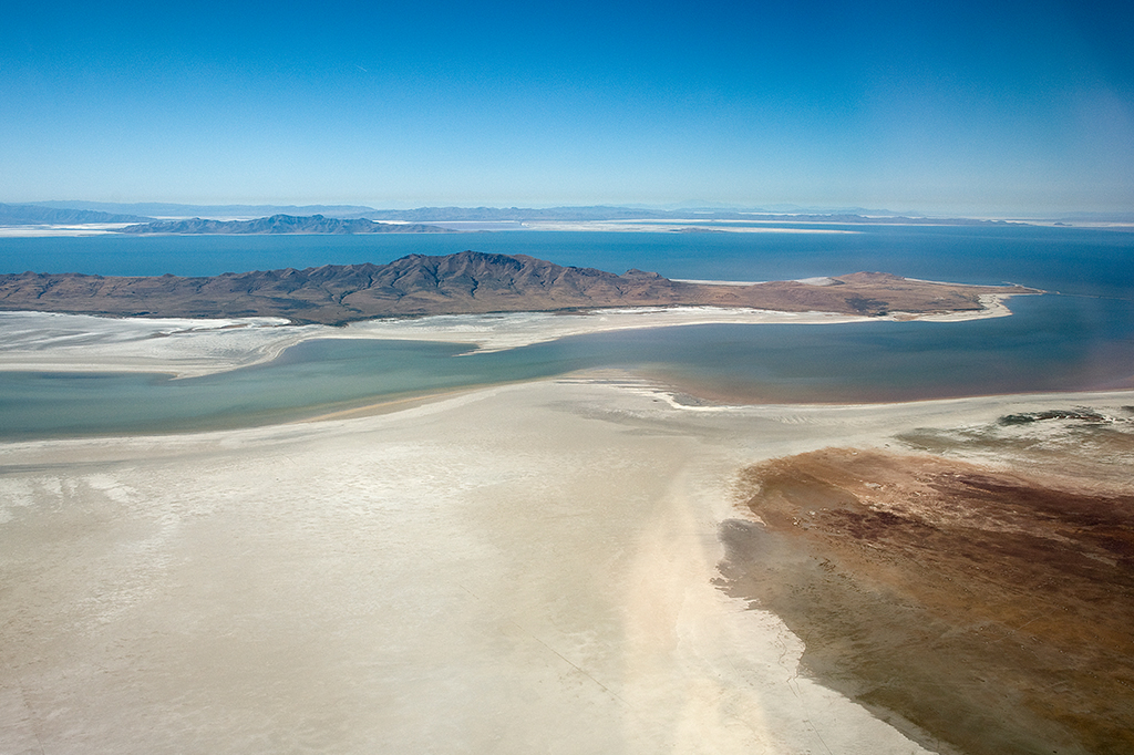 Apenas três espécies vivem no Grande Lago Salgado, no estado americano de Utah