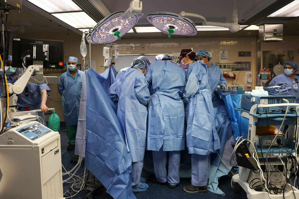 Cirurgiões realizam o primeiro teste genético do mundo de transplante de rim de porco modificado em um ser humano vivo no Massachusetts General Hospital.