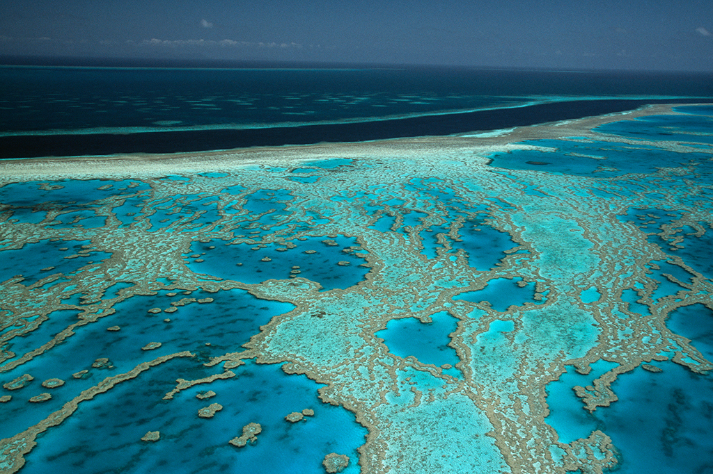 Vista aérea superior de uma grande barreira de corais no oceano.