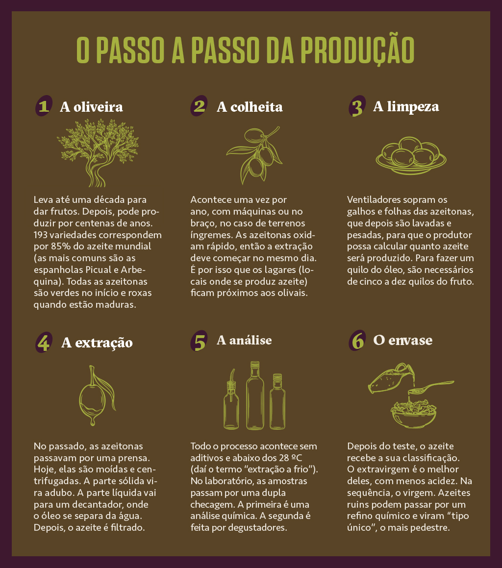 Infográfico com o passo a passo da produção de azeite, desde a oliveira até o envase.