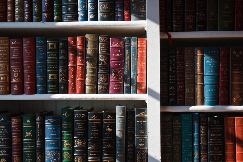 Livros em estante, pegando luz do sol.