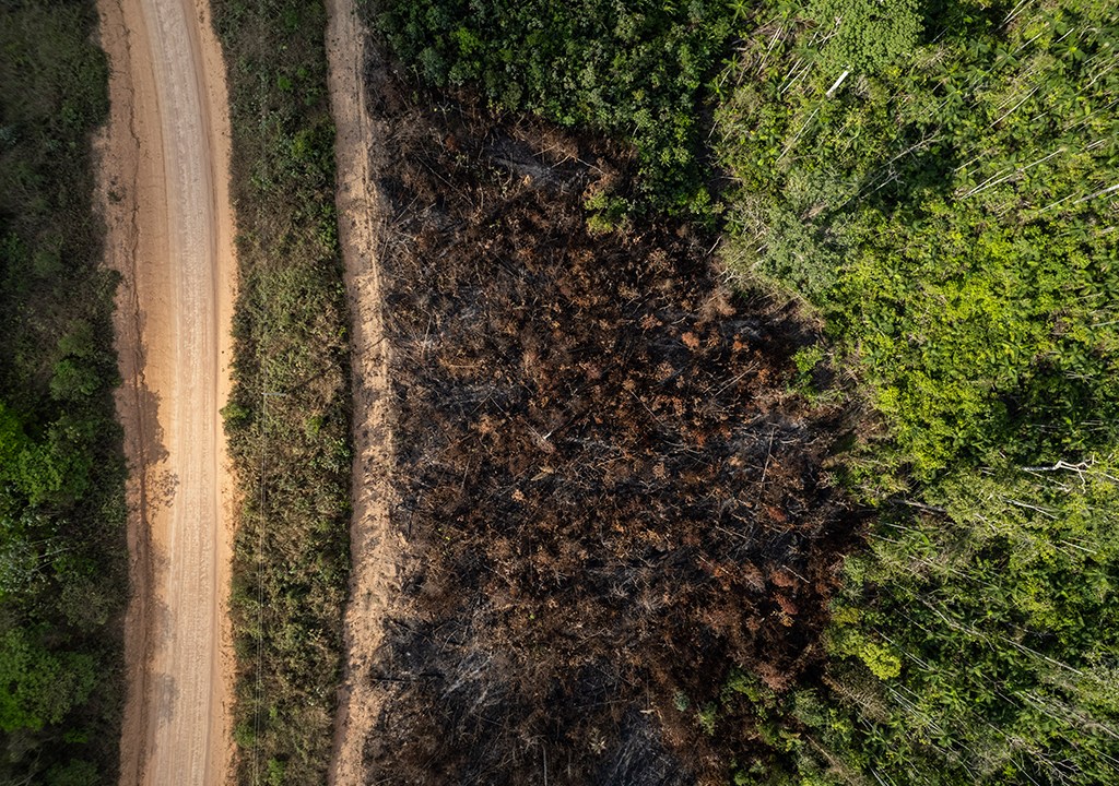 Fotografia de visão superior de desmatamento e queimadas em propriedades rurais na Floresta Amazônica.