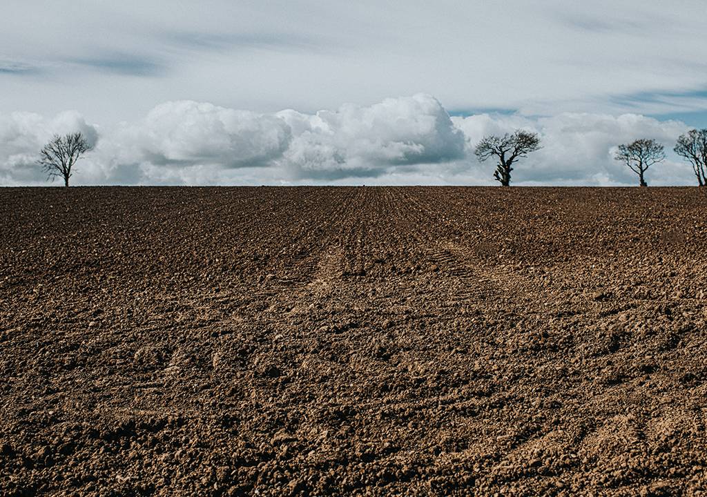 Imagem de um campo aberto vazio e arado. No fundo, há 4 árvores com poucas folhas.