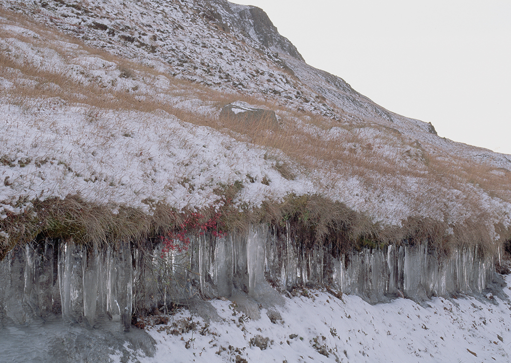 O permafrost do Ártico é agora uma fonte de importantes gases de efeito estufa