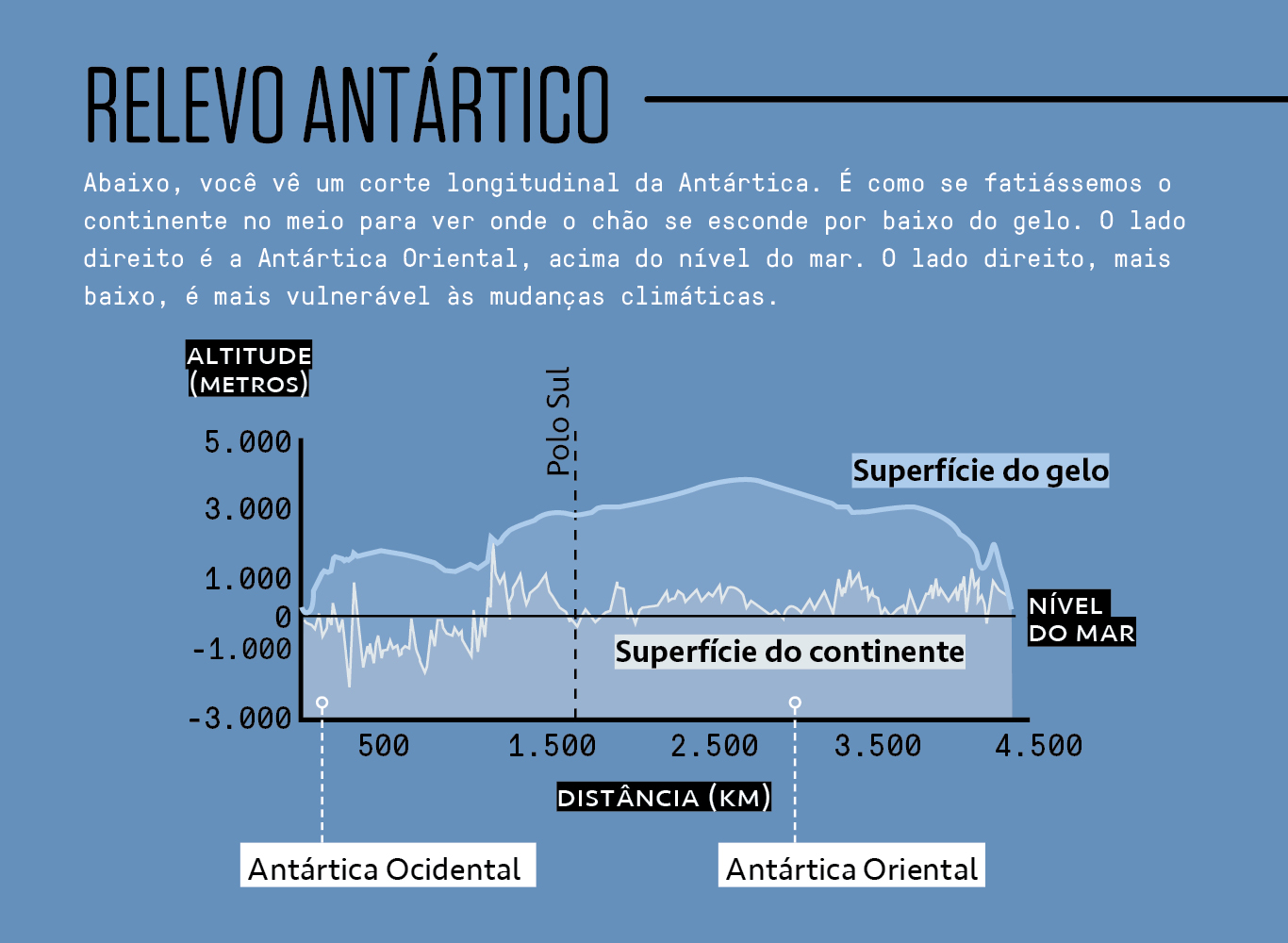 Infográfico mostrando o revelo antártico.