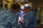 Xenotransplante: morre primeiro paciente que recebeu rim de porco geneticamente modificado