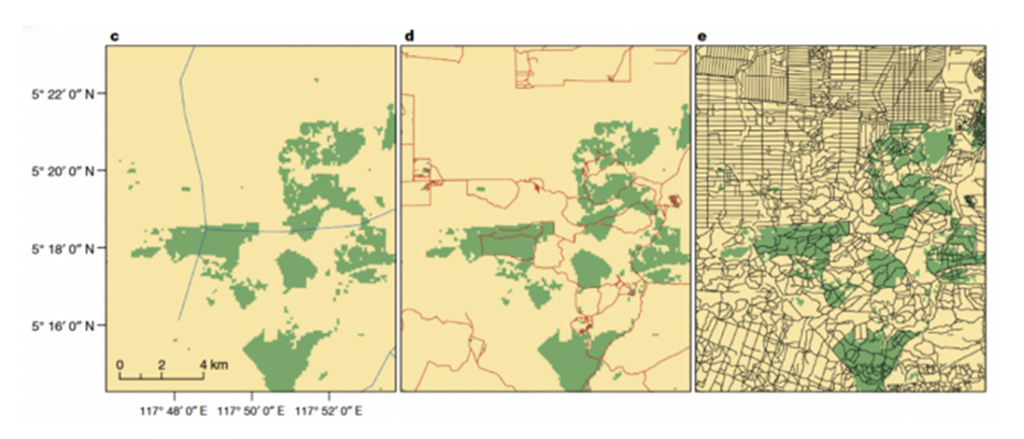 Na ilha de Borneo, os mapas C e D mostram as estradas registradas em duas bases de dados distintas. O mapa E mostra as estradas reais, identificadas por imagens de satélite.