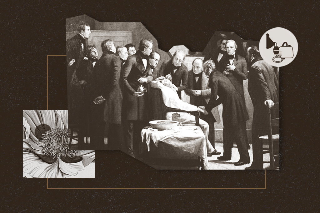 O homem que inventou a anestesia geral – ou quase isso