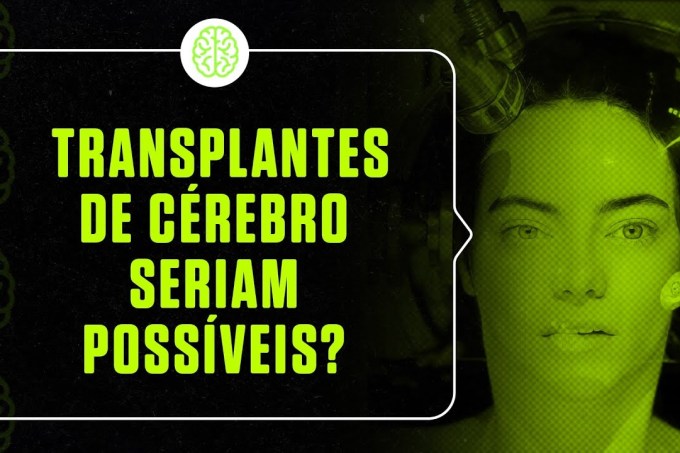 Pobres Criaturas: Transplantes de cérebro são possíveis?