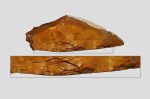 Ferramenta de 400 mil anos encontrada em Israel é mais antiga que humanos