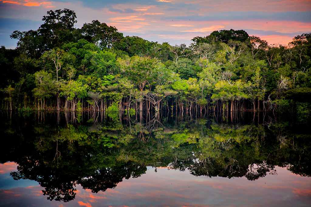 A mais nova área protegida da Amazônia peruana enfrenta uma ameaça existencial