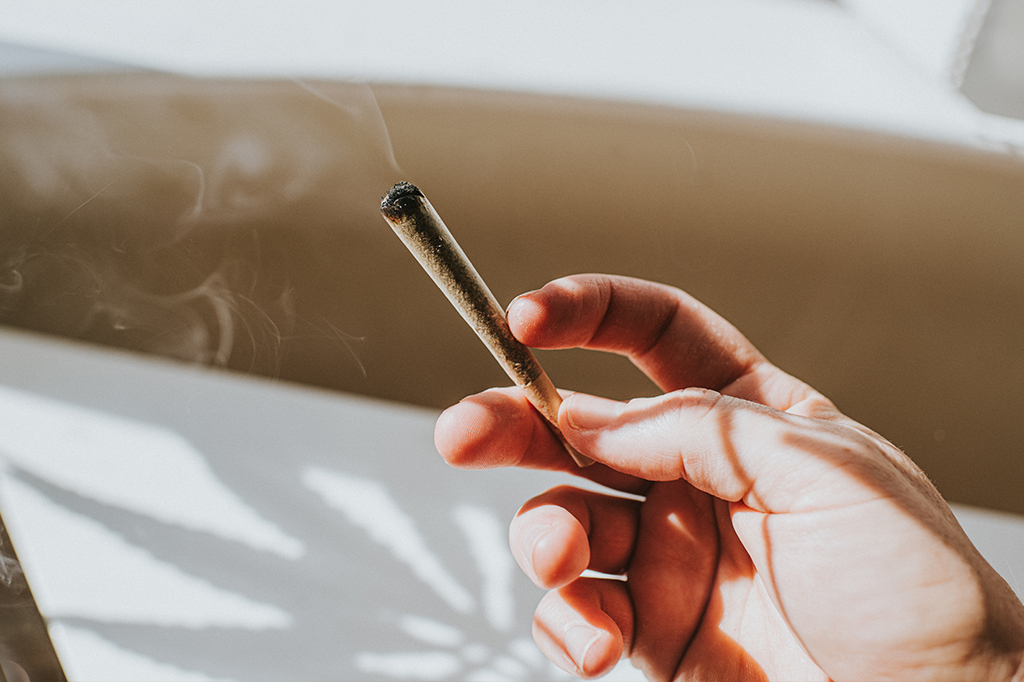 Foto de mão segurando um baseado em um ambiente doméstico ensolarado. A planta de cannabis lança uma sombra na mesa branca.