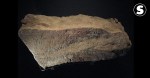 Pedra de Singapura: o artefato misterioso que contém uma mensagem indecifrável