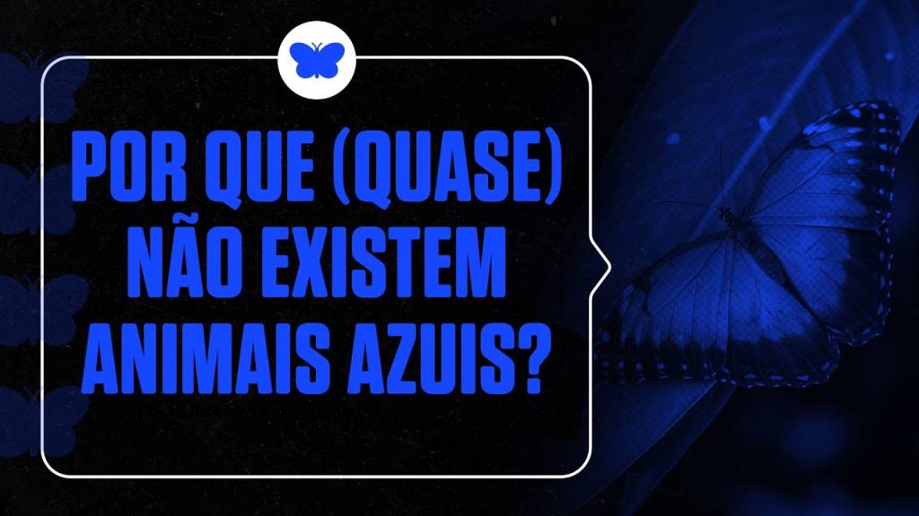 Por que (quase) não existem animais azuis?