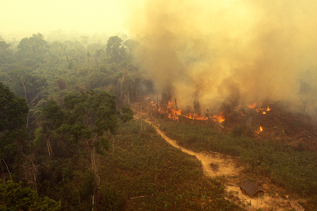 Amazônia brasileira tem pior primeiro semestre de queimadas em 20 anos