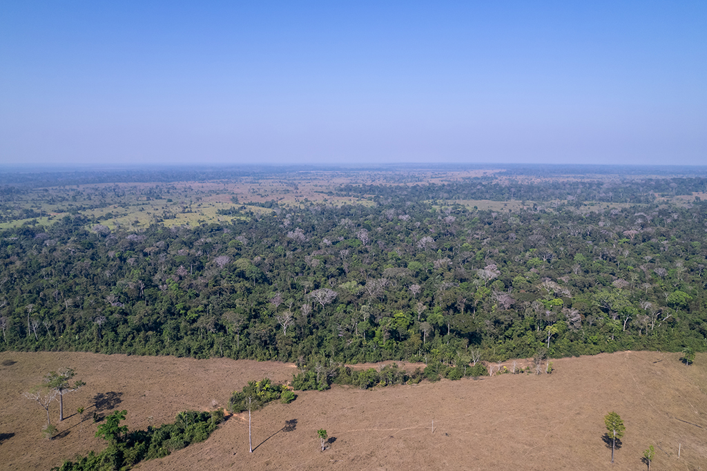 Vista aérea de drone da floresta amazônica na qual há desmatamento para abertura de terras.