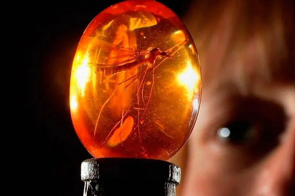 DNA preservado em âmbar de “Jurassic Park” inspira método de armazenar dados
