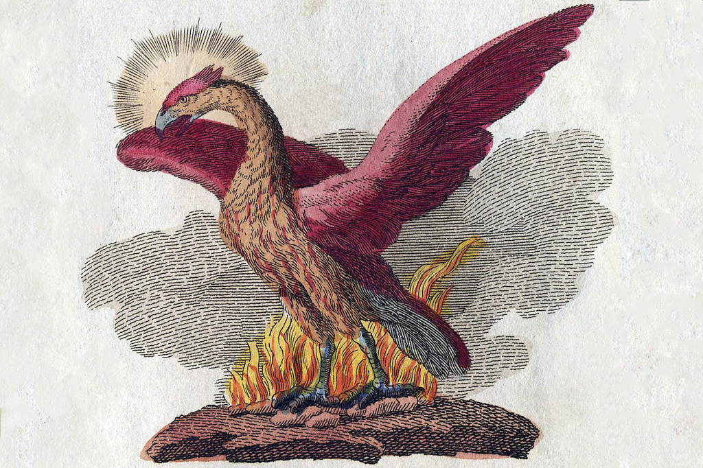 Ilustração de um pássaro com asas abertas. No chão há flamulas.