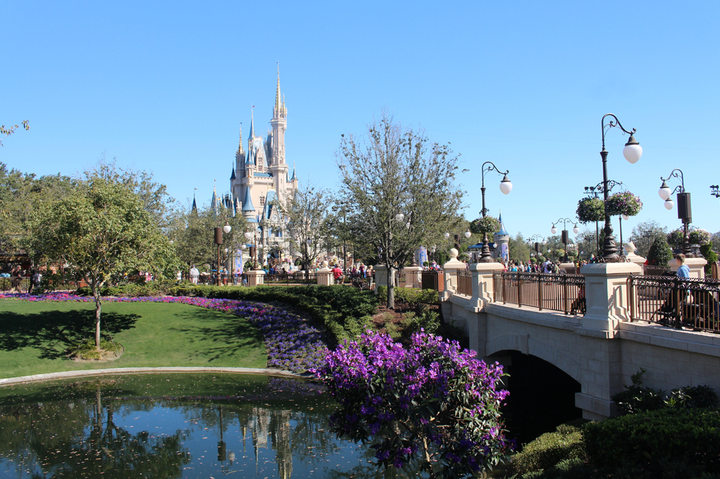 Disney usa termos de uso para se livrar de processo por homicídio culposo