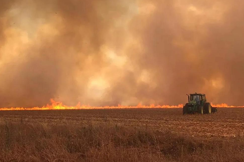 Risco de queimadas em São Paulo pode aumentar a partir desta quarta (28)