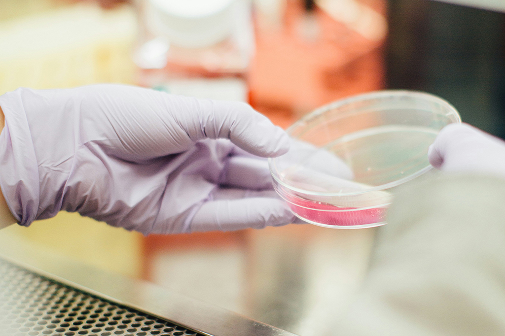 Crise de replicabilidade: o problema discreto que assola a ciência