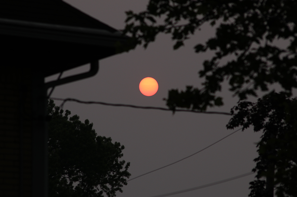 Queimadas: por que a fumaça deixa o sol tão laranja?
