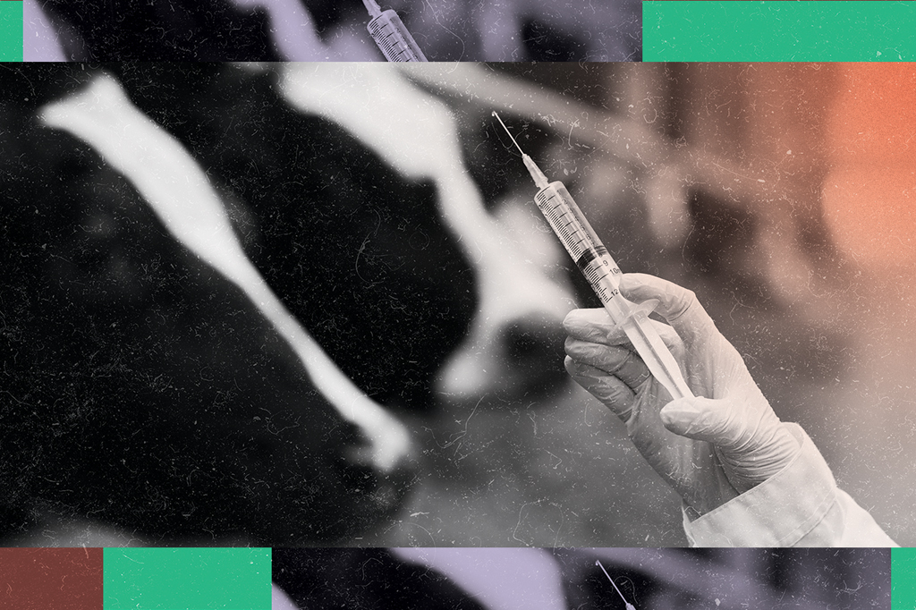 Vacina promete ajuda contra aquecimento global