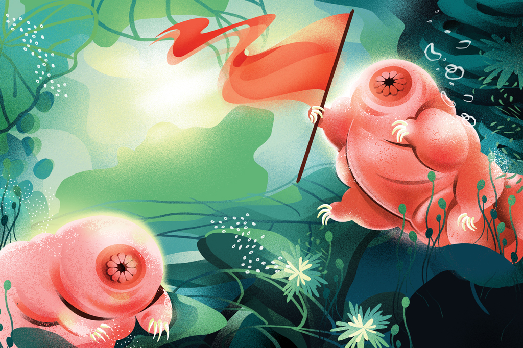 Duro de matar: conheça o tardígrado, o animal “indestrutível”