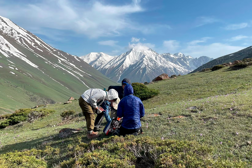 Cambridge abre vaga para naturalista viajante com salário de R$ 27 mil