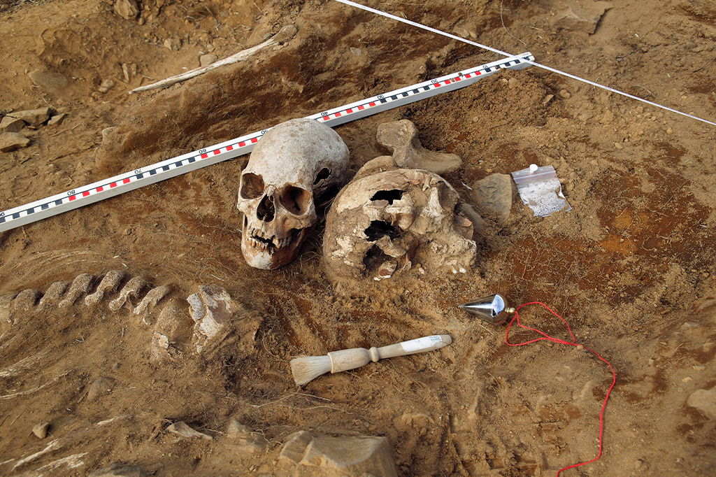 Entrevista: quando os primeiros humanos chegaram às Américas?